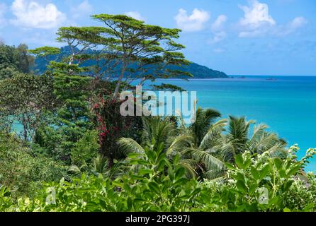 Végétation tropicale Anse Louis Côte Ouest Mahé Seychelles Banque D'Images