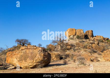 Paysage rocheux pittoresque avec baobabs dans le parc national de Mapungubwe Banque D'Images