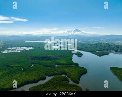 Vue aérienne du paysage tropical avec mangroves et Mont Kinabalu. Bornéo, Malaisie. Banque D'Images