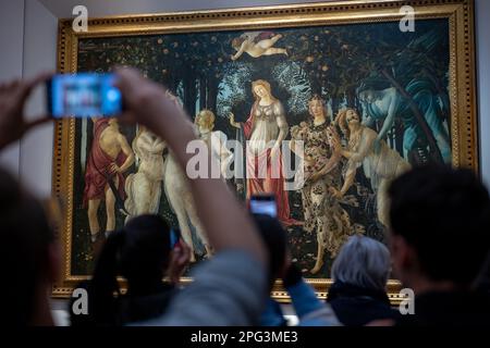 La Primavera, signifiant printemps, peinte par Sandro Botticelli à la galerie Uffizi de Florence, en Italie. Banque D'Images