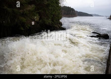 Langelsheim, Allemagne. 20th mars 2023. Vue de l'influence de l'adit Oker-Grane dans le barrage Granetal. A l'occasion de la Journée de l'eau, le Harzwasserwerke présente les résultats d'une étude sur les barrages de Harz. L'accent est mis sur les mesures que les ouvrages d'eau peuvent prendre pour adapter leurs installations aux changements climatiques. Credit: Swen Pförtner/dpa/Alay Live News Banque D'Images