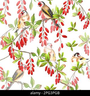 Motif aquarelle dessiné à la main avec oiseaux et barberry. Une petite partie du grand ensemble BIRDS GARDEN Banque D'Images