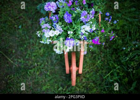 Vue en grand angle d'une brouette en bois pleine de fleurs. Banque D'Images