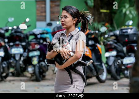 Quezon City, Philippines. 20th mars 2023. Une femme transporte ses chats de compagnie pour recevoir gratuitement la vaccination contre la rage à l'occasion du mois national de sensibilisation à la rage, à Quezon City, aux Philippines, en 20 mars 2023. Crédit: Rouelle Umali/Xinhua/Alamy Live News Banque D'Images