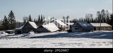 Rangée de bâtiments abandonnés dans un champ enneigé de la réserve naturelle de Sax-Zim Bog lors d'une journée d'hiver à Toivola, Minnesota, États-Unis. Banque D'Images