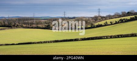 Les lignes électriques du réseau national traversent les champs dans le paysage agricole vallonné des South Dorset Downs, près de Broadmayne. Banque D'Images