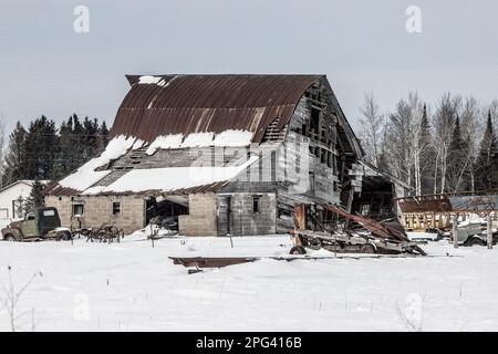 Une ancienne grange aux intempéries de Dilapuit entourée de jonque et d'un vieux camion dans la réserve naturelle de Sax-Zim Bog, lors d'une journée d'hiver à Toivola, Minnesota, États-Unis. Banque D'Images