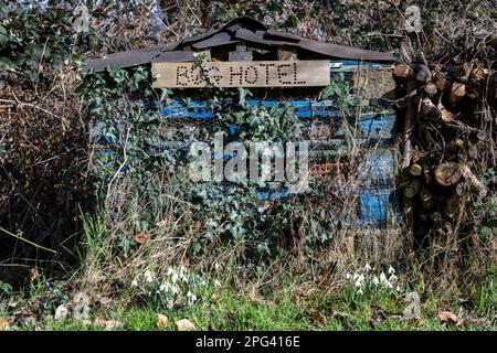 Un hôtel de bricolage fait à partir d'une pile de palettes et d'autres déchets réutilisés dans le cimetière de Greenbank, Bristol. Banque D'Images