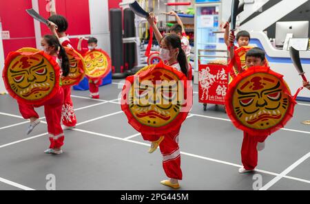 Entraînement des enfants pour la danse du lion à la Fédération des arts martiaux de Luk Chee Fu à Quarry Bay. Luk Chee Fu Martial Arts Federation a été créée en 1931, offrant la danse traditionnelle des lions et des dragons, les arts martiaux, le chiropracteur chinois et le service de médecine chinoise. En 1934, Maître Luk Chee Fu fonde la Fédération des arts martiaux de Luk Chee Fu à Hong Kong pour enseigner les arts martiaux et la danse du lion. Maître Luk a passé une vie à promouvoir la forme d'art noble des arts martiaux sont le lion et le dragon dansant; et en même temps servi la communauté et a livré d'innombrables représentations de charité, le traitement médical Banque D'Images