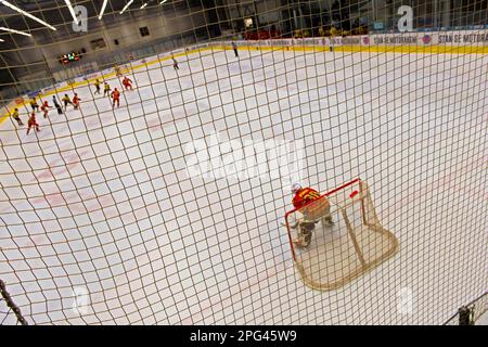 gardien de but de hockey sur glace en filet pendant le match intérieur depuis l'arrière Banque D'Images