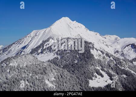 Mont de Grange, Châtel, Sports d'hiver portes du Soleil, haute-Savoie, Frankreich Banque D'Images