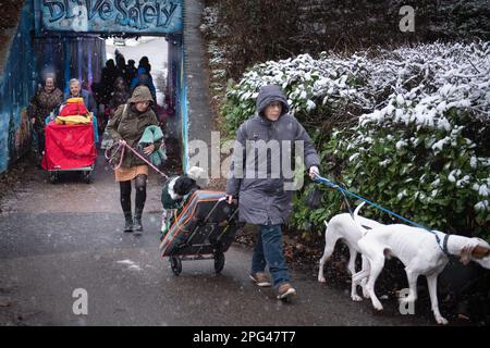 NEC, Birmingham, Royaume-Uni. 9th mars 2023. Bravant la neige, des canines de toutes formes et de toutes tailles commencent à arriver avec leurs propriétaires au NEC, Birmingham. Banque D'Images