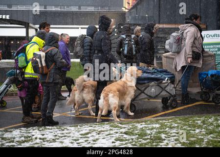 NEC, Birmingham, Royaume-Uni. 9th mars 2023. Bravant la neige, des canines de toutes formes et de toutes tailles commencent à arriver avec leurs propriétaires au NEC, Birmingham. Banque D'Images