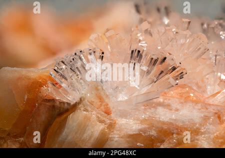 Effacer la natrolite cristaux sur Gmelinite Orange (à partir de la petite carrière de Deer Park, Gourgois, N. Ireland) Banque D'Images