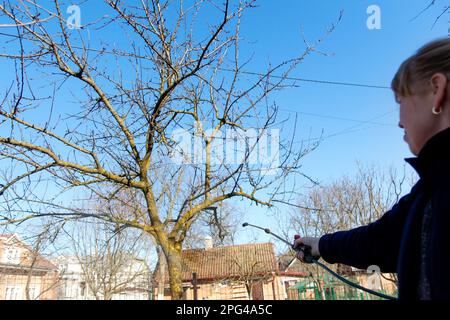 Arroser le jardin. pesti de fumigation, lutte antiparasitaire. Défoquer la femme paysanne pulvérisant l'arbre avec un pulvérisateur manuel de pesticides contre les insectes dans le jardin de printemps. Agricole Banque D'Images