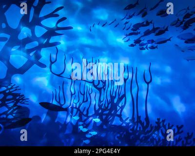 fond Aqua Banque D'Images