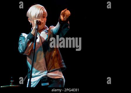 Robyn, V2008, Hylands Park, Chelmsford, Essex, Royaume-Uni - 17 août 2008 Banque D'Images