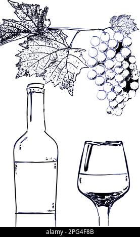 Bouteille de vin et verre avec raisins branche vecteur art Affiche vintage raisins et vin isolés Illustration de Vecteur