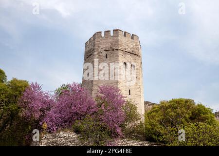 Les murs du Yedikule d'Istanbul au printemps. Les remparts historiques de la ville byzantine, Kazlıçeşme, Zeytinburnu. TURQUIE Banque D'Images