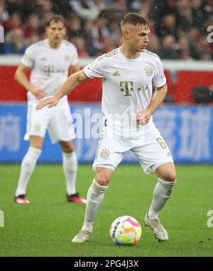 Leverkusen, Allemagne. 19th mars 2023. Joshua Kimmich (Bayern), Leverkusen, Allemagne. 19th mars 2023. 1. Bundesliga, match day 25, Bayer 04 Leverkusen - FC Bayern München. LA RÉGLEMENTATION DFL INTERDIT TOUTE UTILISATION DE PHOTOGRAPHIES COMME SÉQUENCES D'IMAGES ET/OU QUASI-VIDÉO crédit: Juergen Schwarz/Alay Live News Banque D'Images