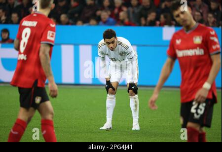 Leverkusen, Allemagne. 19th mars 2023. Jamal Musiala (Bayern), Leverkusen, Allemagne. 19th mars 2023. 1. Bundesliga, match day 25, Bayer 04 Leverkusen - FC Bayern München. LA RÉGLEMENTATION DFL INTERDIT TOUTE UTILISATION DE PHOTOGRAPHIES COMME SÉQUENCES D'IMAGES ET/OU QUASI-VIDÉO crédit: Juergen Schwarz/Alay Live News Banque D'Images