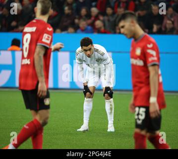 Leverkusen, Allemagne. 19th mars 2023. Jamal Musiala (Bayern), Leverkusen, Allemagne. 19th mars 2023. 1. Bundesliga, match day 25, Bayer 04 Leverkusen - FC Bayern München. LA RÉGLEMENTATION DFL INTERDIT TOUTE UTILISATION DE PHOTOGRAPHIES COMME SÉQUENCES D'IMAGES ET/OU QUASI-VIDÉO crédit: Juergen Schwarz/Alay Live News Banque D'Images