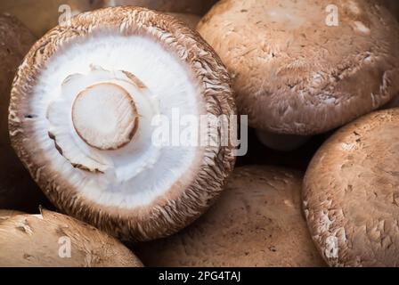 Champignons de Portobello - gros plan Banque D'Images