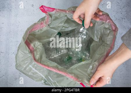 Mettez les bouteilles en plastique à la main dans un sac poubelle prêt à être recyclé, à gérer les déchets et à recycler le plastique. Tri des bouteilles de déchets en plastique, vue de dessus Banque D'Images