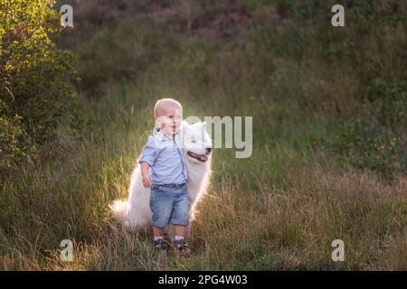 Le petit garçon embrasse avec amour le chien blanc moelleux de Samoyed. Amitié entre l'homme et l'animal. Thérapie, formation, soins, soins pour animaux de compagnie. Voyager dans la nature avec Banque D'Images