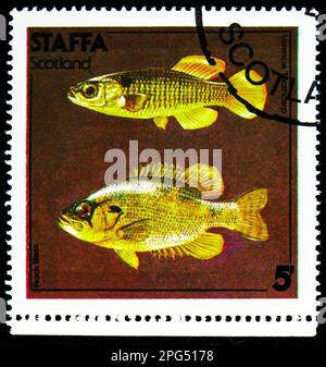 MOSCOU, RUSSIE - 16 MARS 2023 : timbre-poste imprimé à Cendrillon montre Valencia Tarthcarp, Rock Bass, série Staffa, vers 1978 Banque D'Images