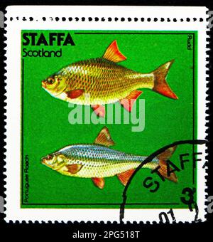 MOSCOU, RUSSIE - 16 MARS 2023 : timbre-poste imprimé dans Cendrillon montre Rudd, Portuguse Roach, série Staffa, vers 1978 Banque D'Images