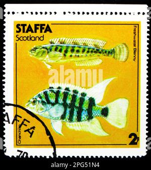 MOSCOU, RUSSIE - 16 MARS 2023 : timbre-poste imprimé à Cendrillon montre Freshwater Blenny, Chanchiro, série Staffa, vers 1978 Banque D'Images