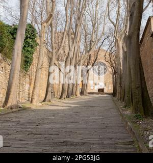 Cathédrale de San Giusto à Trieste, Italie Banque D'Images