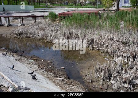 Catastrophes écologiques. Lac de séchage dans le parc de la ville. Disparition du lac marécageux sec, idée et concept de conservation de l'environnement, sécheresse, réchauffement et cata Banque D'Images