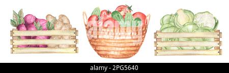 Aquarelle des légumes dans la boîte en bois illustration, légumes frais de jardin clipart. récolte de jardin clip art alimentaire, betterave, chou, tomate, cucumb Banque D'Images