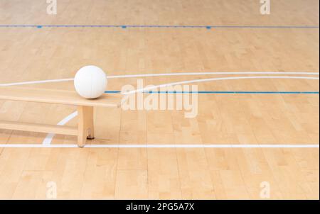 Volley-ball dans une leçon d'éducation physique. Affiche sur le thème du sport horizontal, cartes de vœux, en-têtes, site Web et application Banque D'Images