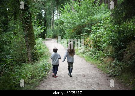Deux enfants marchant dans la forêt Banque D'Images