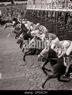 1950S SPORT DE KINGS ONZE HOMMES JOCKEYS SUR DES CHEVAUX PUR-SANG EN PARTANT DE LA RUPTURE DE LA COURSE DE CHEVAUX DÉPART PORTE - H3744 HAR001 HARS DÉBUT TRANSPORT JOCKEY B&W PORTE BUTS RUPTURE COMPÉTENCE 11 COMPÉTENCES D'OCCUPATION MAMMIFÈRES HAUTE ANGLE PORTES DE FORCE CARRIÈRES EXCITATION DIRECTION PUISSANTE EMPLOI PROFESSIONS CONCEPTUELLES ONZE JOCKEYS COTES RACES EMPLOYÉ COOPÉRATION MAMMIFÈRE NOIR ET BLANC CAUCASIEN ETHNIE HAR001 HISPANIQUE L'ETHNICITÉ EST ANCIENNE Banque D'Images