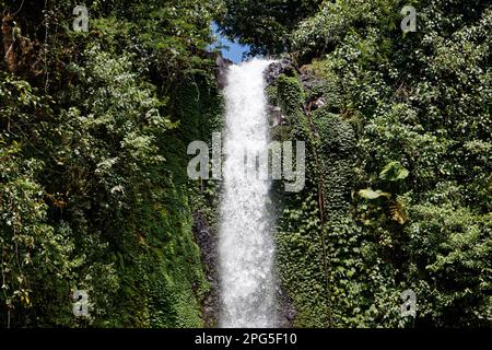 Le sommet de la chute d'eau Gitgit, Bali, Indonésie Banque D'Images