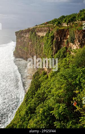 Rivage près du temple d'Uluwatu, sud de Bali, Indonésie Banque D'Images