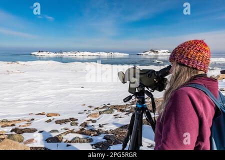 Karen Rentz regardant une chouette de neige éloignée sur la plage de Picnic Rocks à Marquette dans la péninsule supérieure, Michigan, États-Unis Banque D'Images