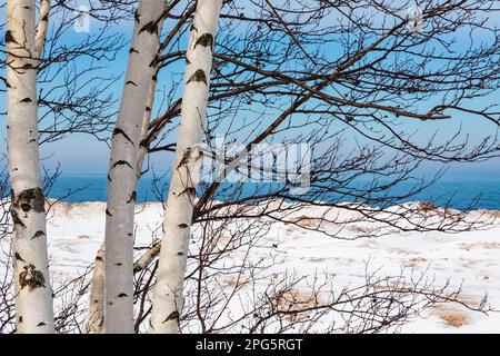 Vue sur le lac supérieur avec des Birches en papier le long de la M-28 entre Munising et Marquette dans la péninsule supérieure, Michigan, États-Unis Banque D'Images