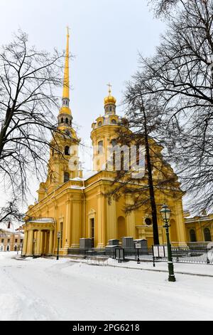 Cathédrale Saint-Pierre-et-Paul, située dans la forteresse Pierre-et-Paul Petropavlovskaya Krepost située sur l'île de Hare, Saint-Pétersbourg-Russie. Banque D'Images