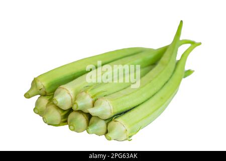 Okra vert frais (Okro Abelmoschus esculentus) isolé sur blanc Banque D'Images