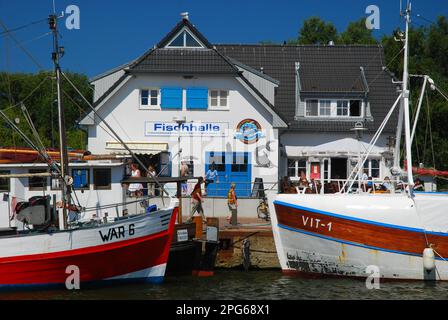 Pêche Cutter, Fish Hall, Vte, île de la mer Baltique Hiddensee, Mer Baltique, Mecklenburg-Poméranie occidentale, Allemagne Banque D'Images