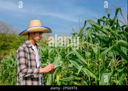 Jeune agriculteur utilisant une tablette numérique pour suivre le processus de plantation de maïs. concept d'agriculture intelligente Banque D'Images