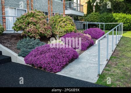 Rampe en béton avec main courante en acier inoxydable et pelouse bien aménagée. Rampe avec rails métalliques pour le passage des poussettes et pour la roue de support Banque D'Images