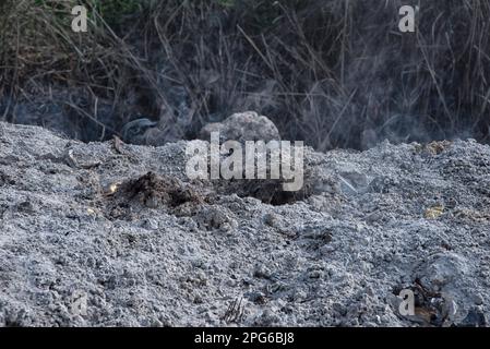 pile de cendres sur le sol de la benne à ordures Banque D'Images
