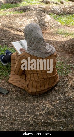 Jeune femme musulmane utilisant un livre de lecture tout en étant assise dans le parc Banque D'Images