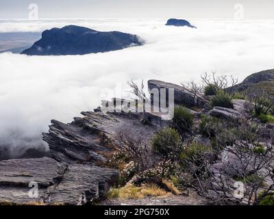 Sommets nuagés du sommet de Bluff Knoll (1099m), parc national de Stirling Ranges, Australie occidentale Banque D'Images